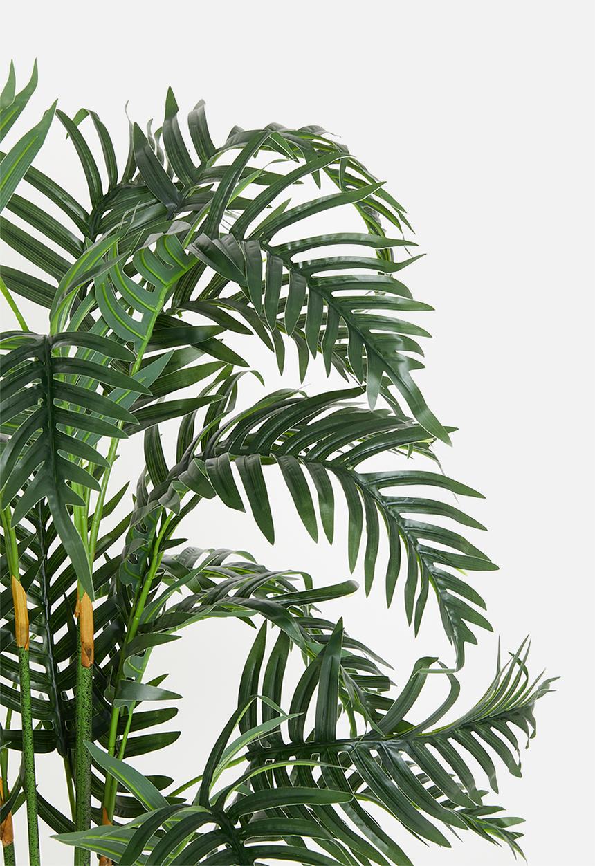 H&S - Artificial fern - black pot
