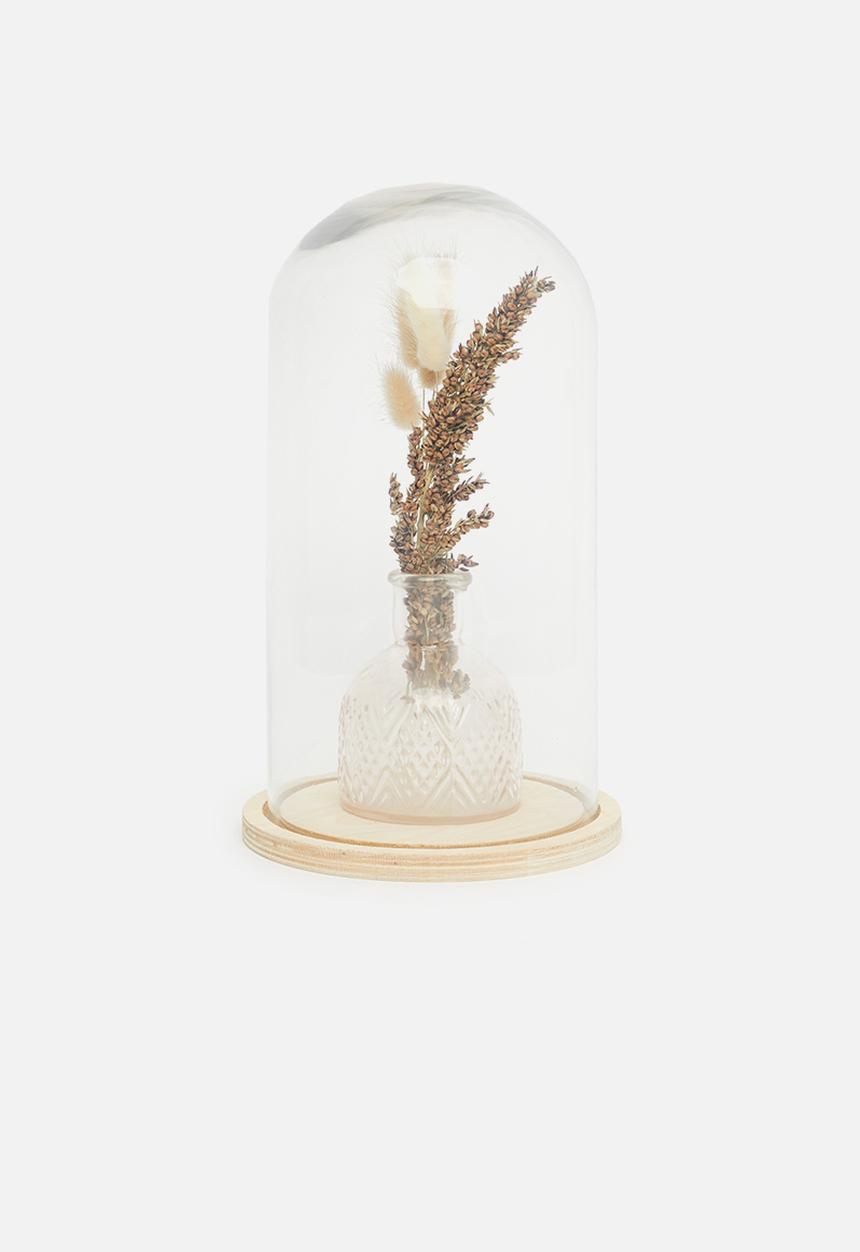 H&S - Dome glass with wood base - clear