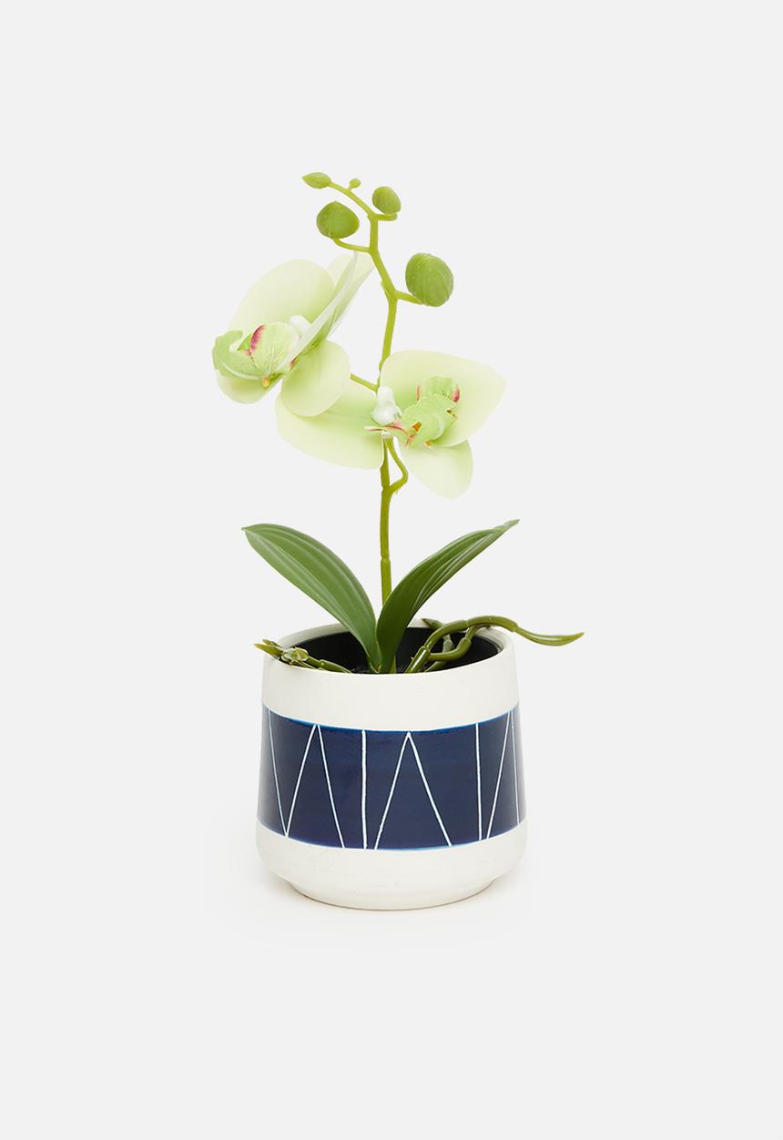 H&S - Artificial orchid in black pot - light green