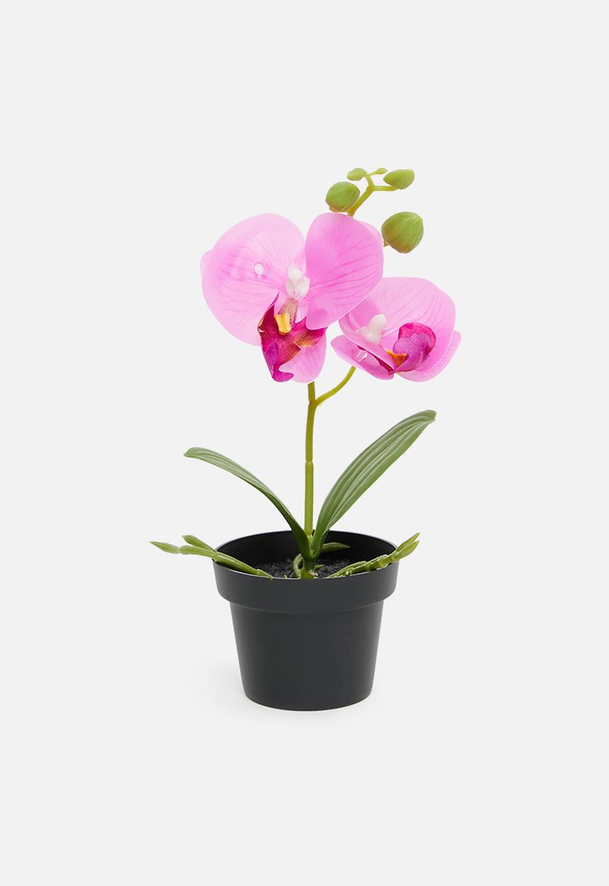 H&S - Artificial orchid in black pot - pink