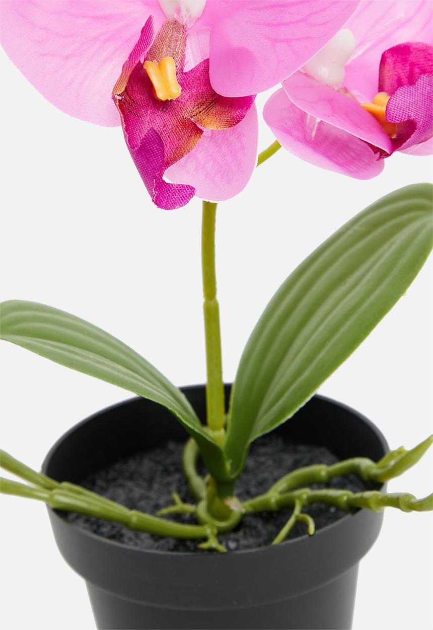 H&S - Artificial orchid in black pot - pink