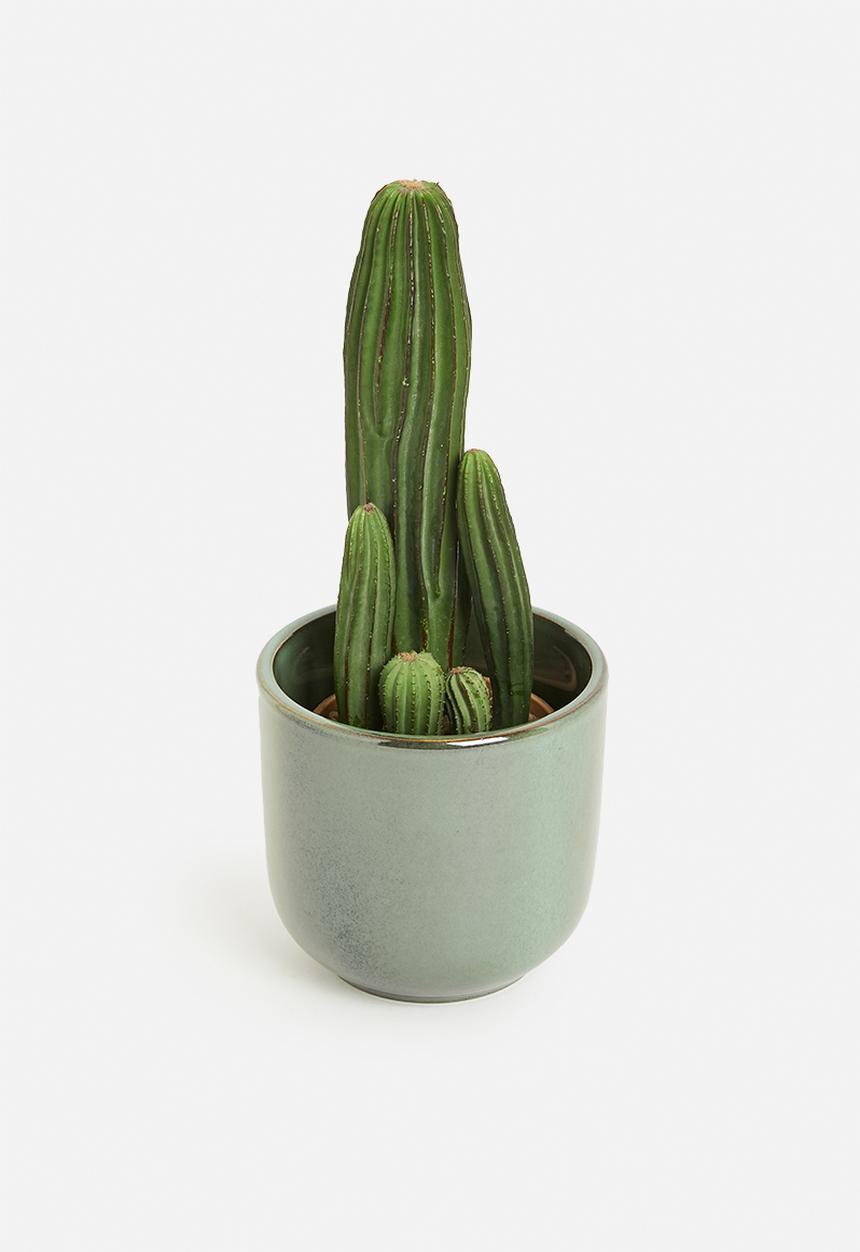 H&S - Rooted porcelain flowerpot - green