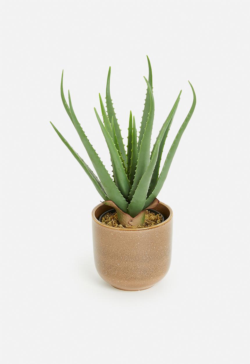 H&S - Rooted porcelain flowerpot - brown