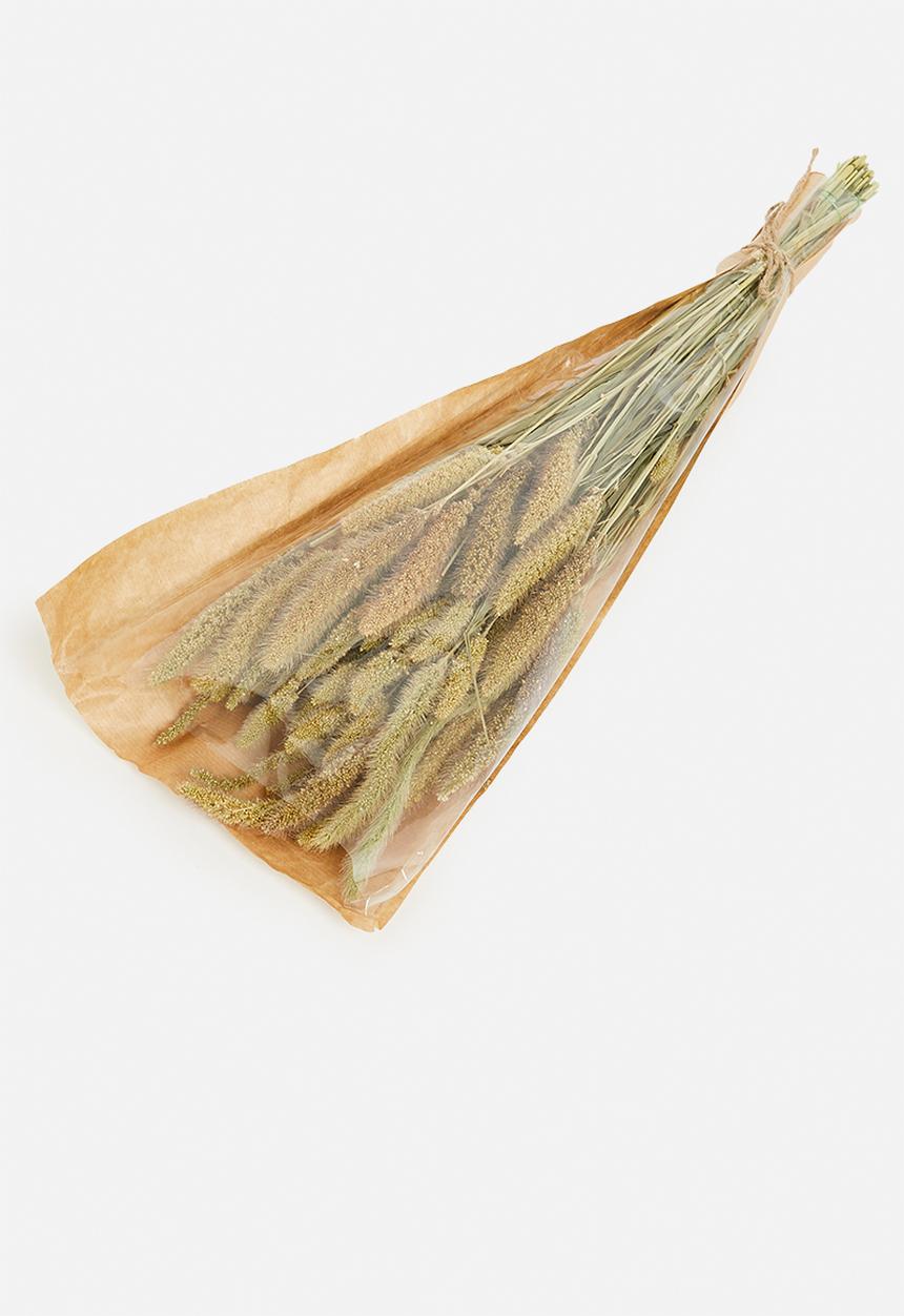 H&S - Dried setaria grass bunch - natural