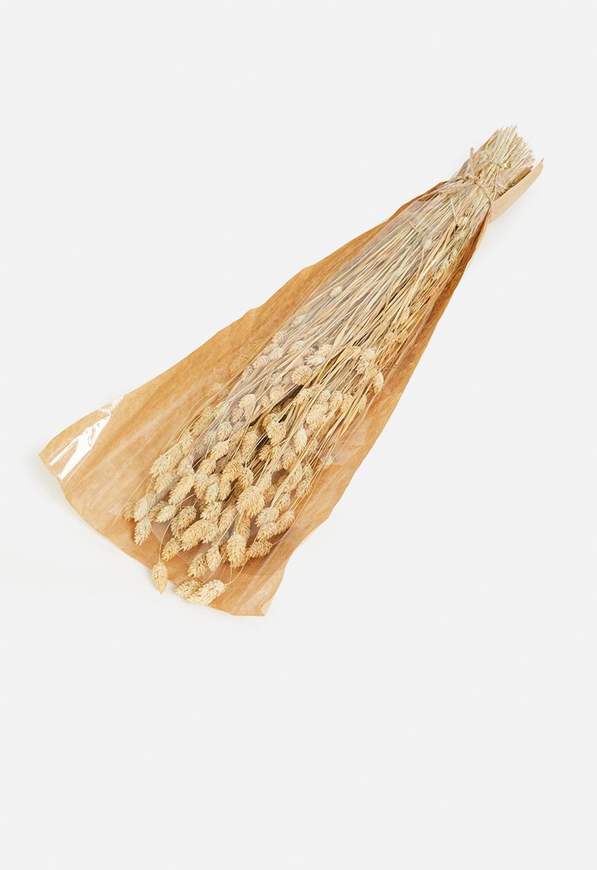 H&S - Dried phalaris grass bunch - natural