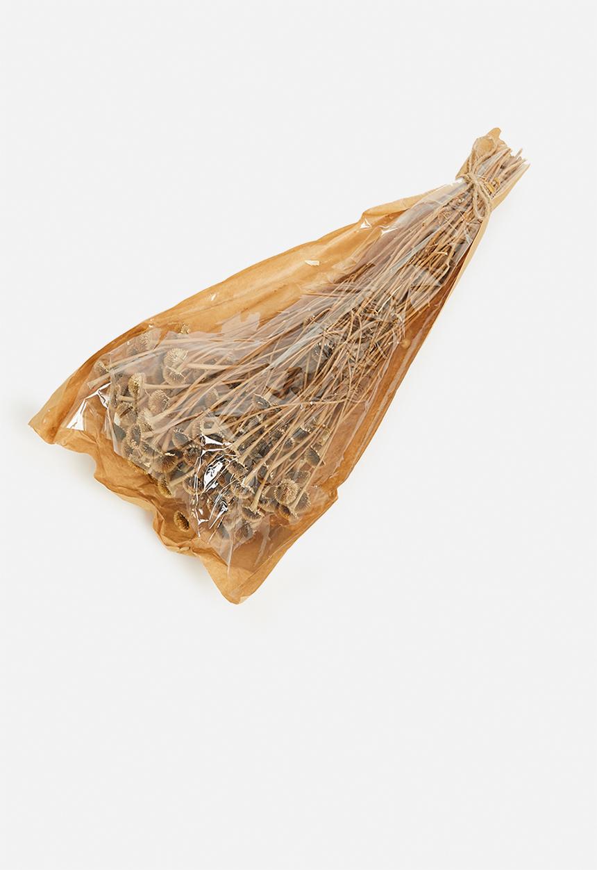 H&S - Dried wild daisy flower bunch - natural