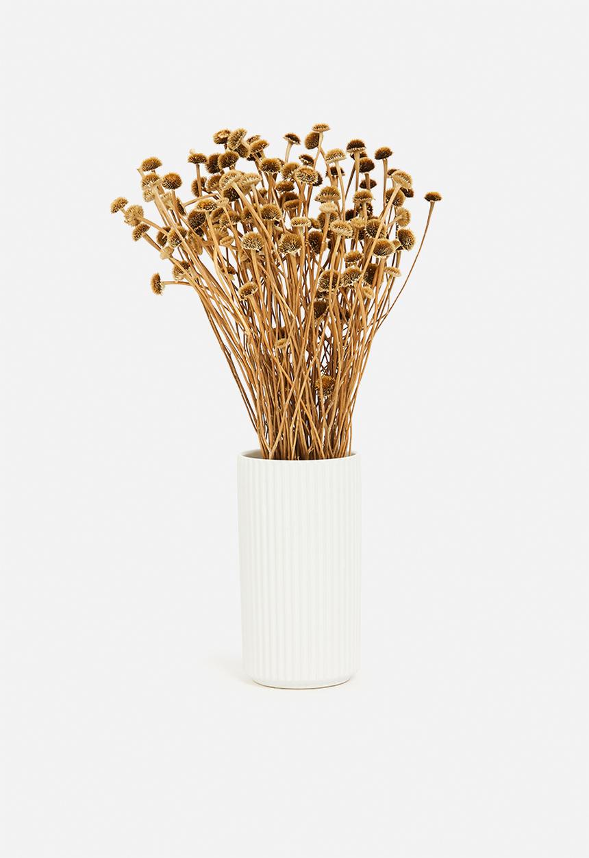 H&S - Dried wild daisy flower bunch - natural