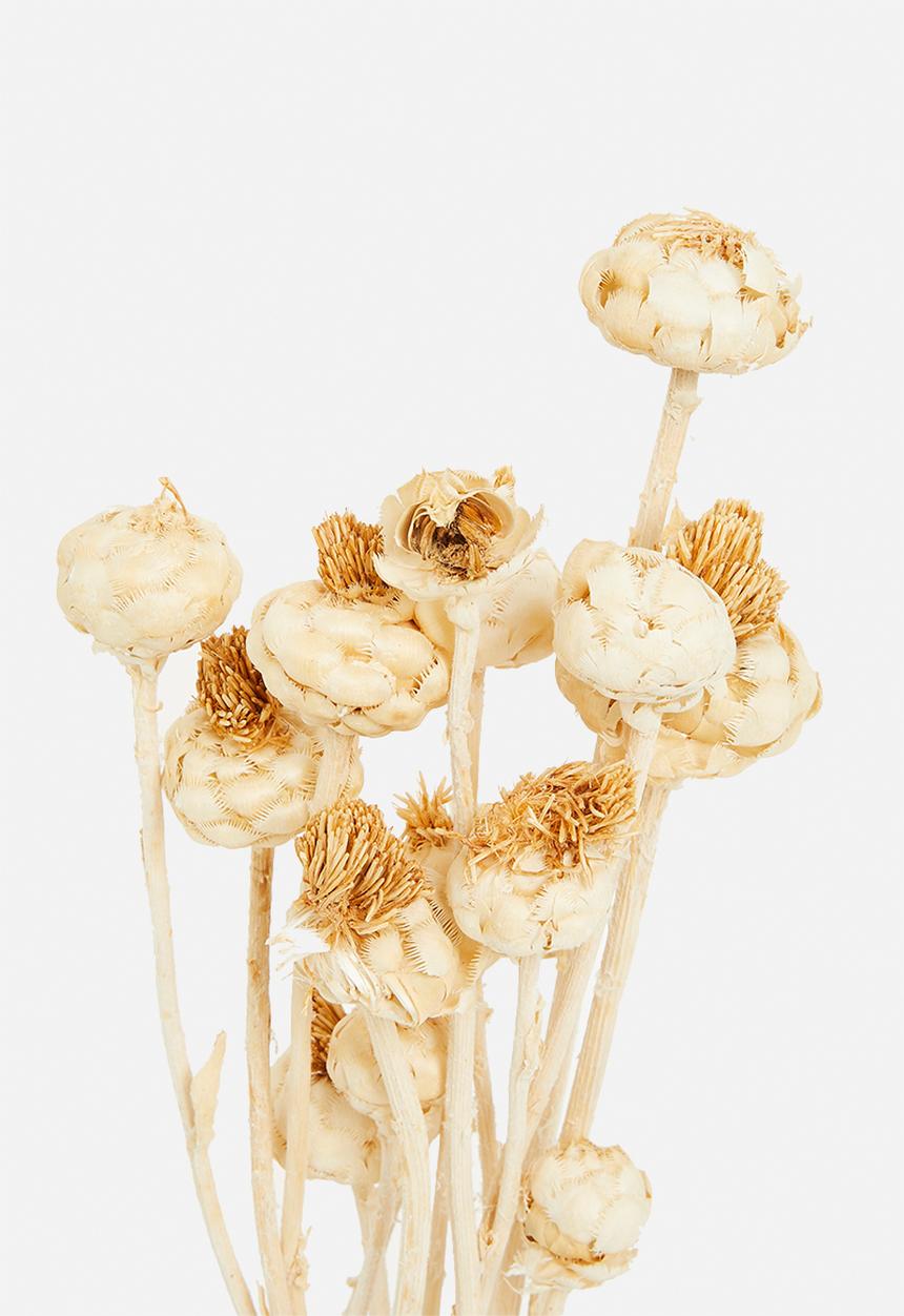 H&S - Dried artichoke bunch - natural