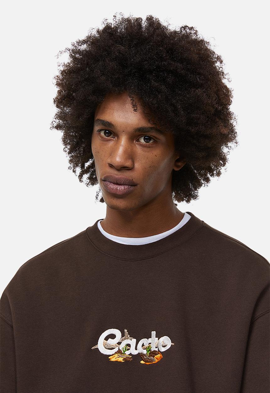 H&M - Relaxed fit printed sweatshirt - brown / cacto 