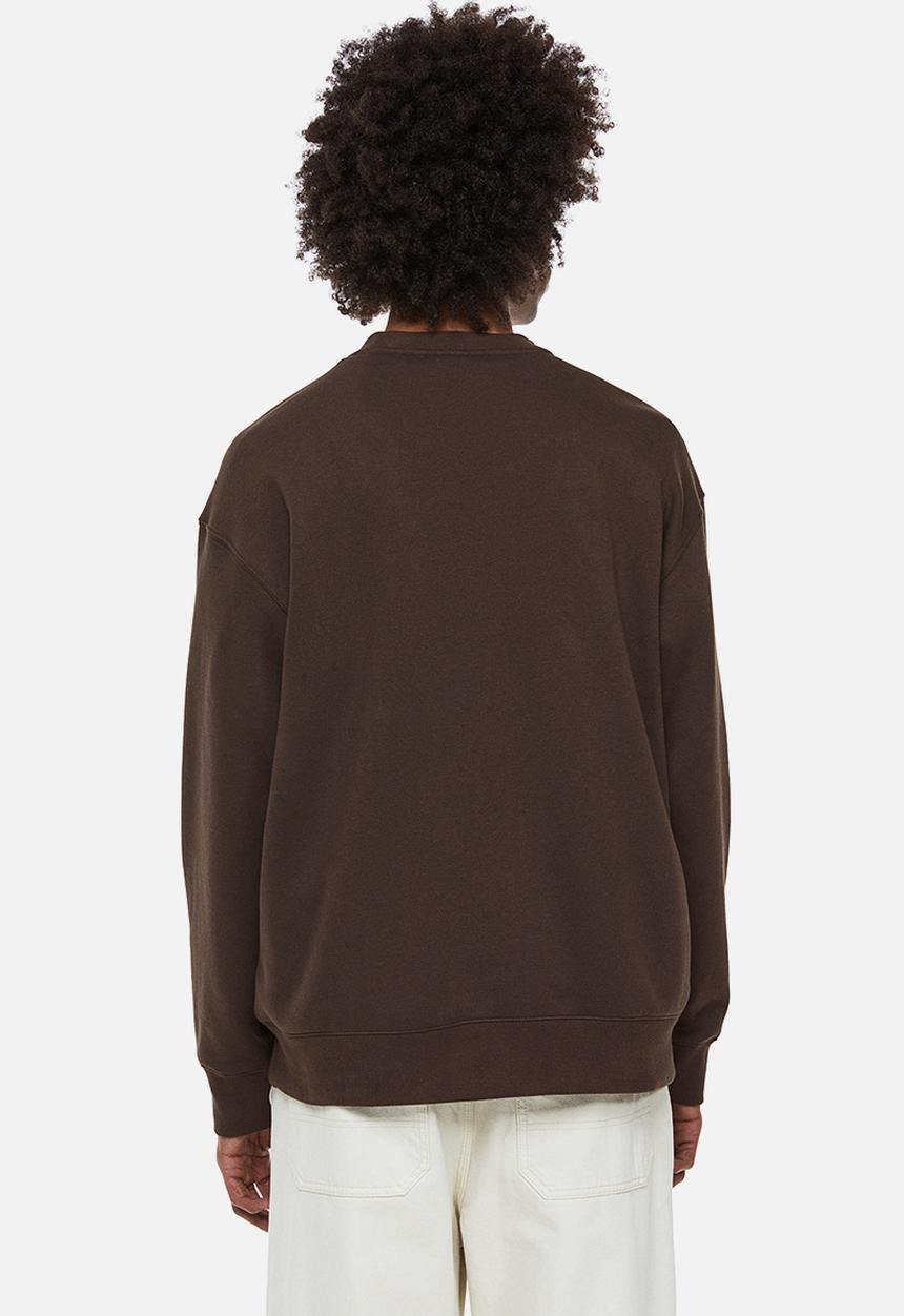 H&M - Relaxed fit printed sweatshirt - brown / cacto 