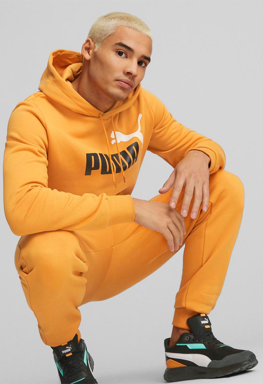 PUMA - Ess+ 2 col big logo hoodie fl - desert clay