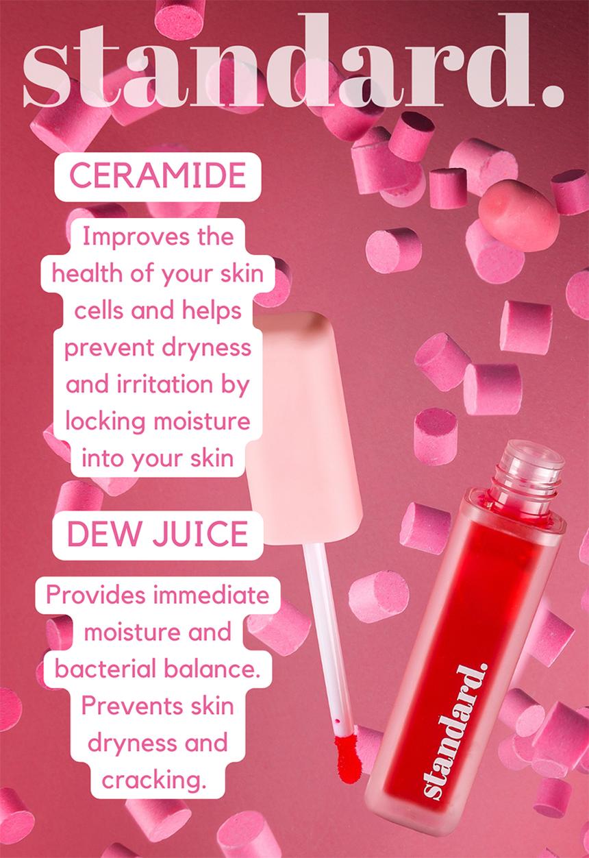 Standard Beauty - Sweet Talker (blushed pink) Lip Stain with Ceramides