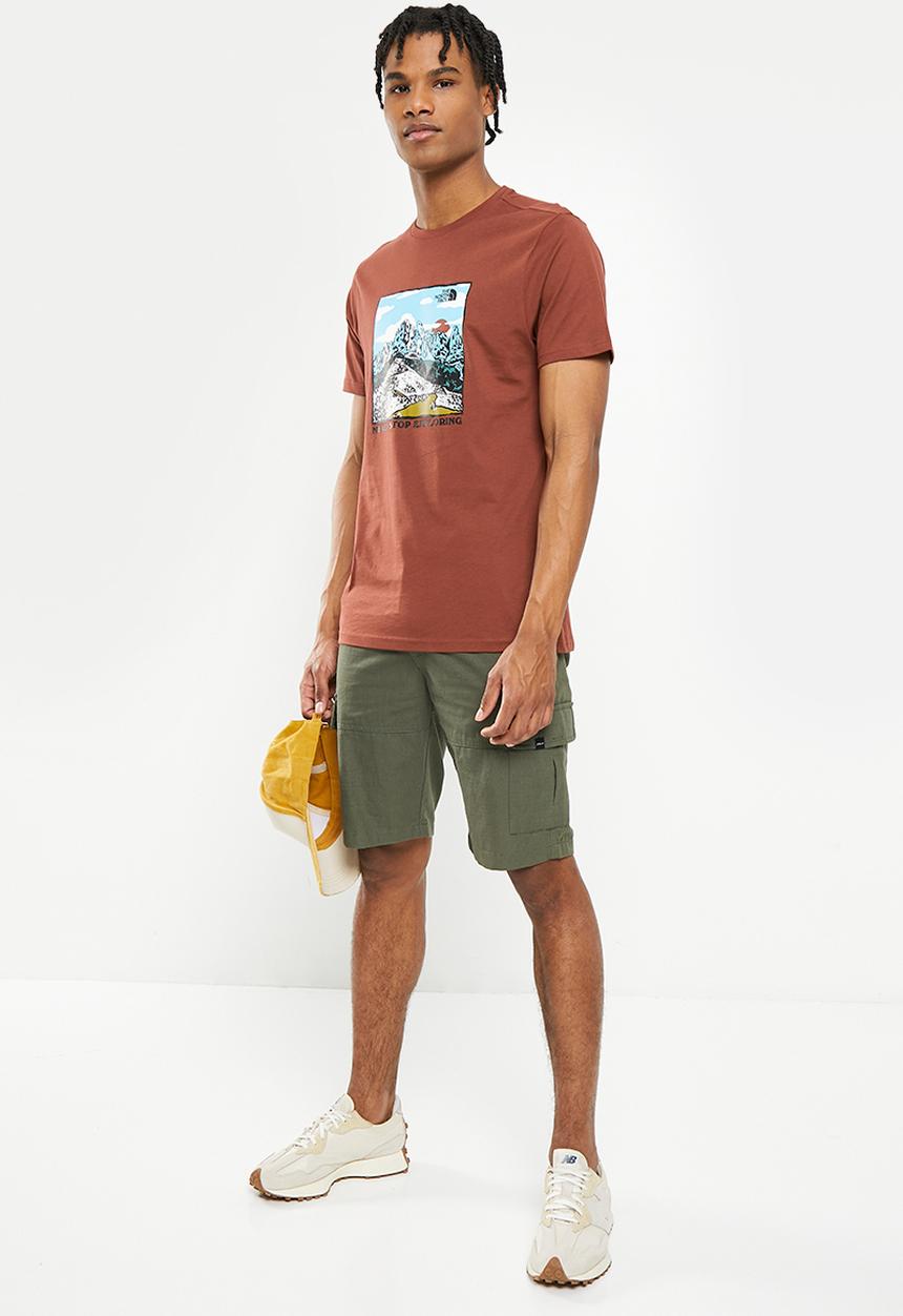 The North Face - M short sleeve graphic tee - brandy brown 