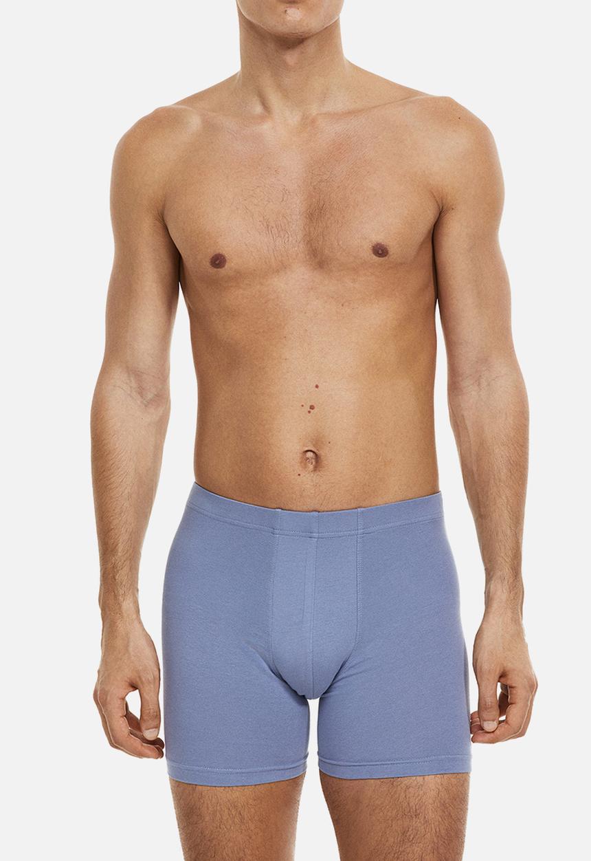 H&M - 3 Pack mid cotton trunks - pigeon blue & dark blue