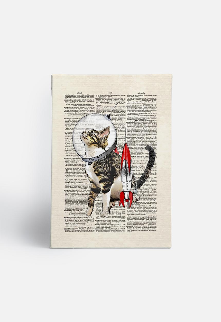 Matt Dinniman  - Space cat
