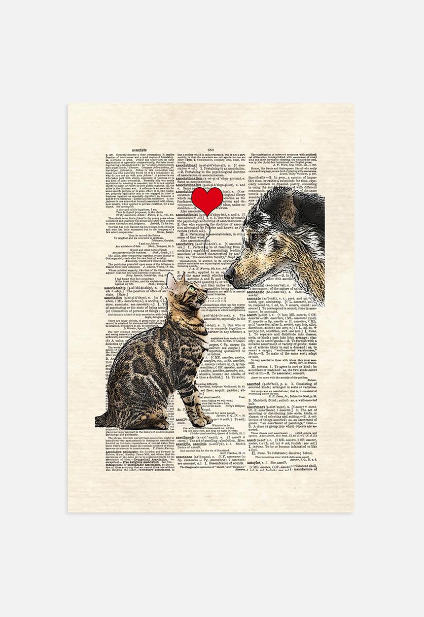 Matt Dinniman  - Dog-Cat Love