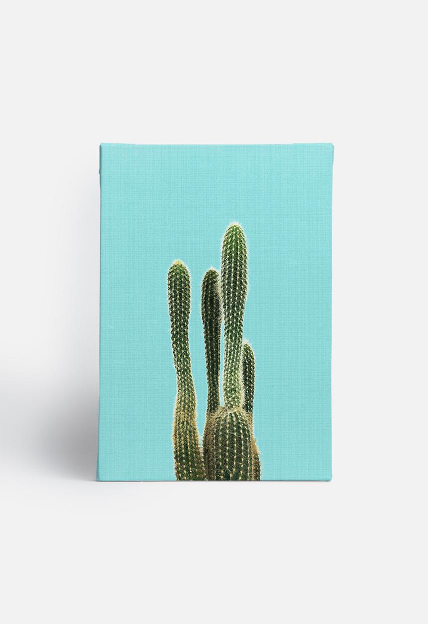 LILA+LOLA - Cactus On Blue