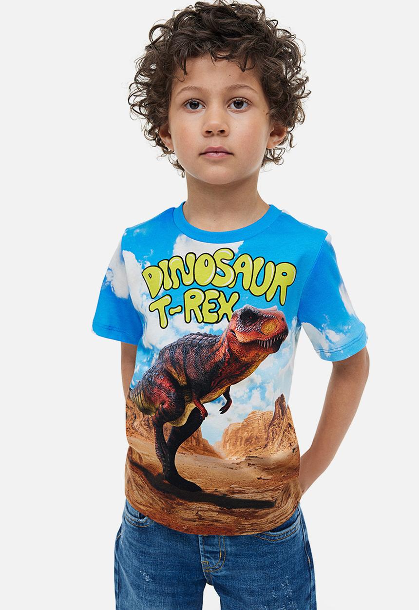 H&M - Printed jersey T-shirt - blue dinosaur