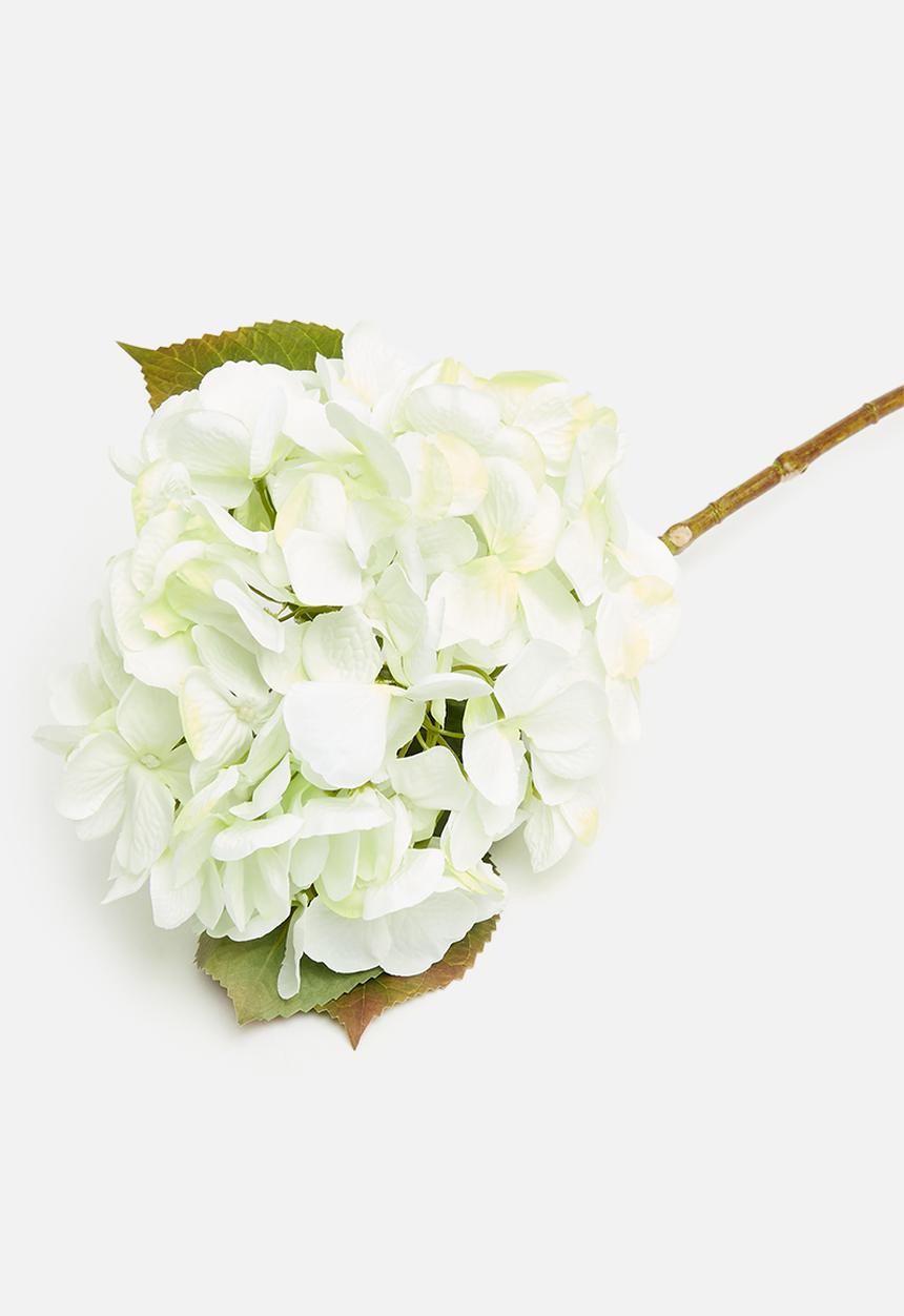 H&S - Hydrangea single stem - green