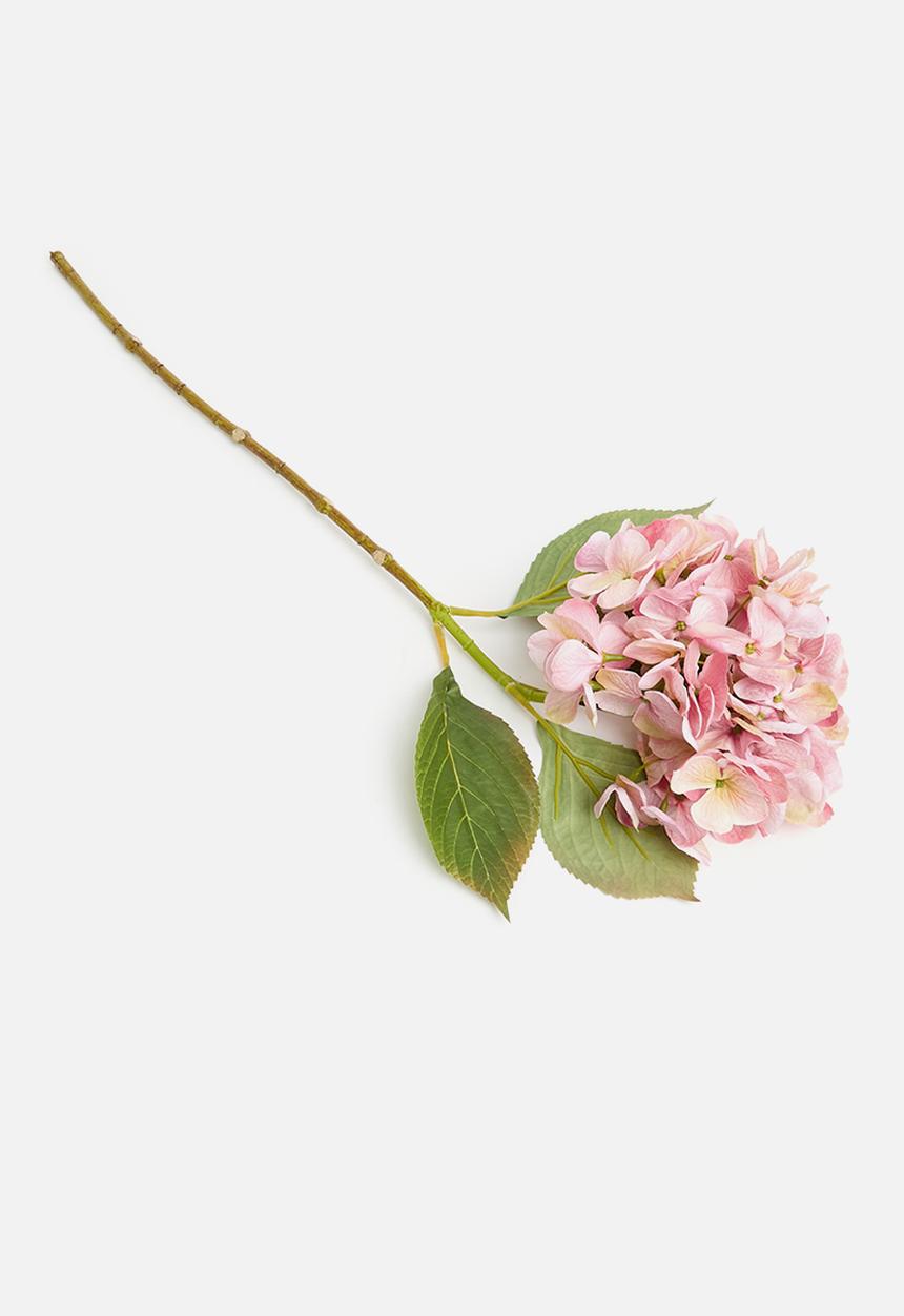 H&S - Hydrangea single stem - pink