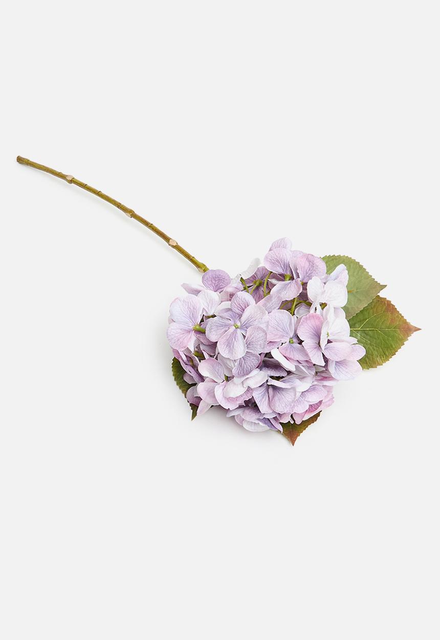 H&S - Hydrangea single stem - lilac