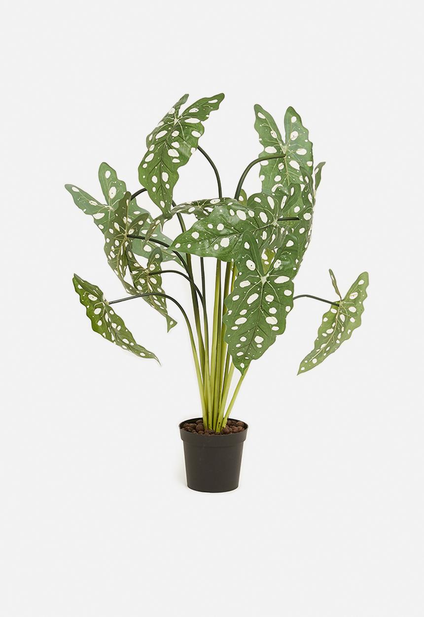 H&S - Alocasia dotted artificial plant - green 