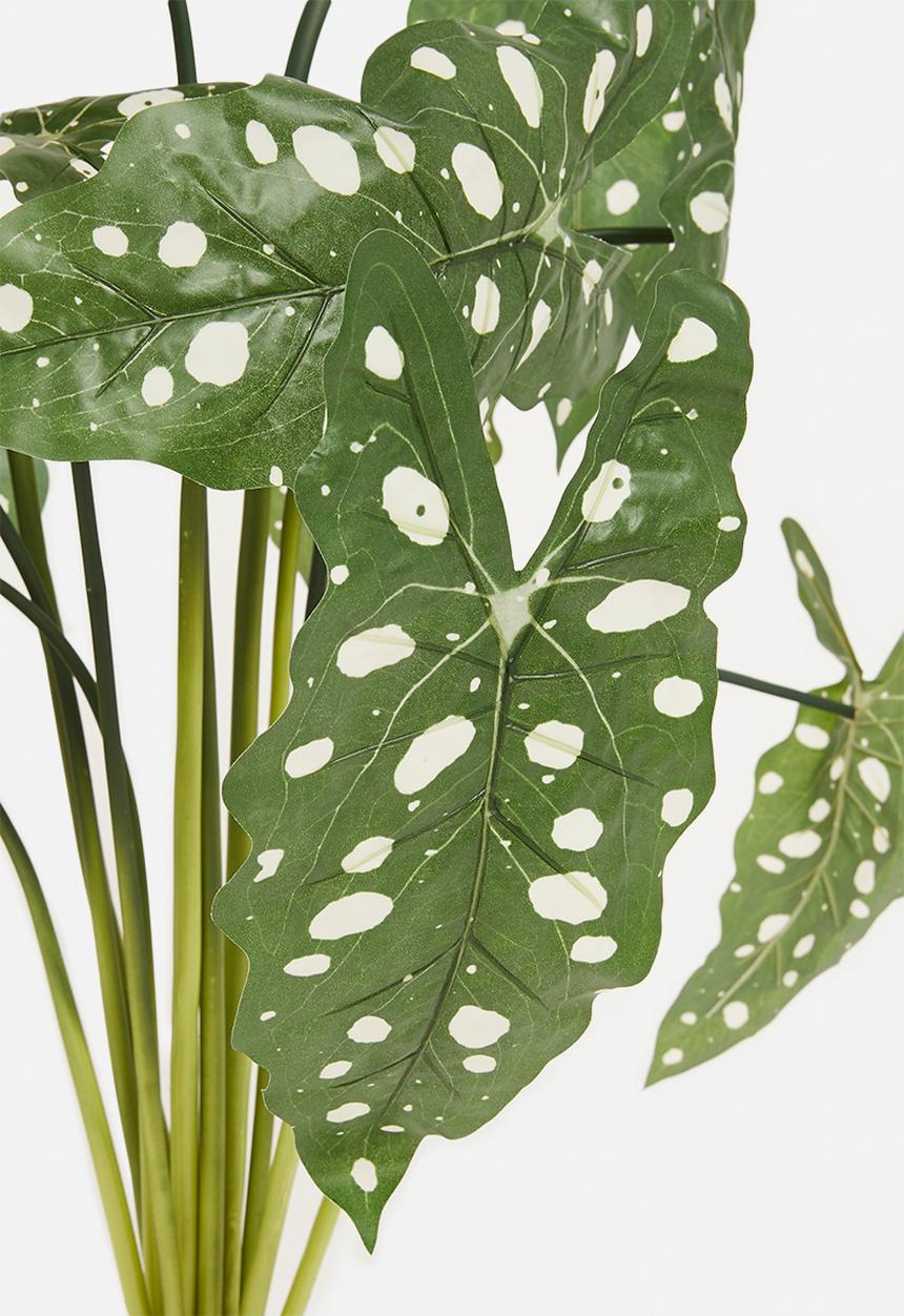 H&S - Alocasia dotted artificial plant - green 