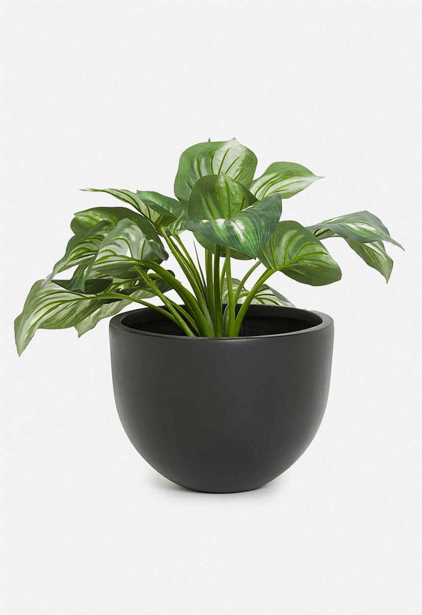 Sixth Floor - Aslan planter - black