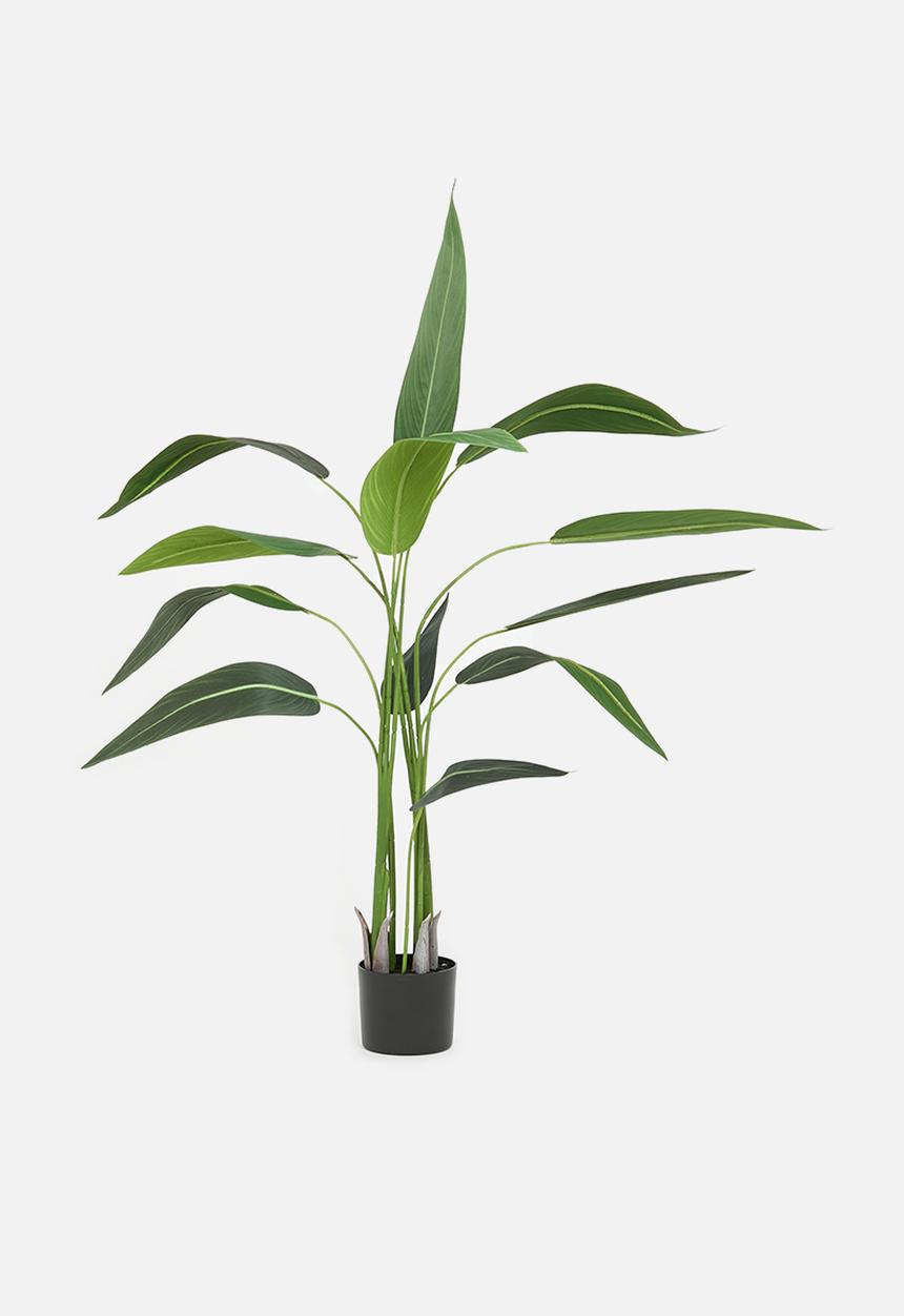 H&S - Artificial bird of paradise - black pot