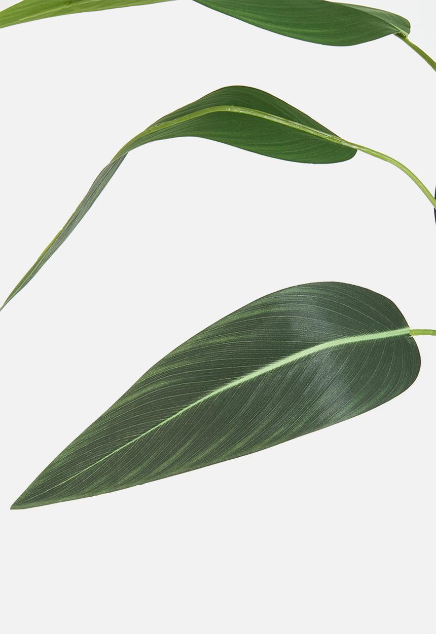 H&S - Artificial bird of paradise - black pot