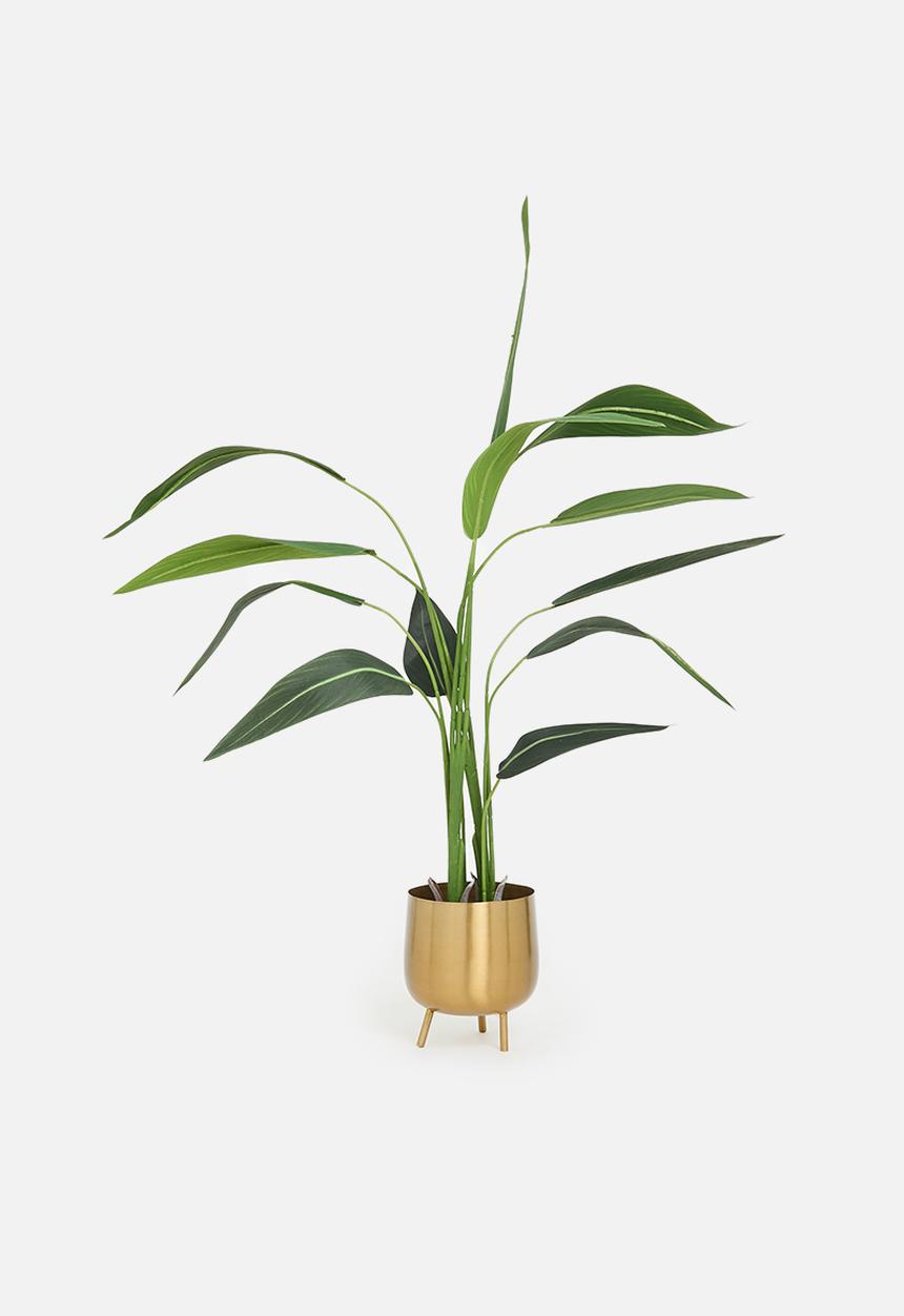 H&S - Artificial bird of paradise - black pot