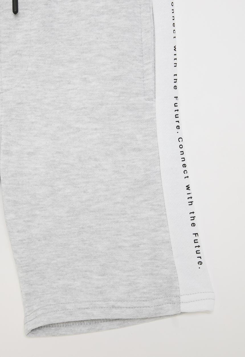 MINOTI - Fleece short - mottled grey