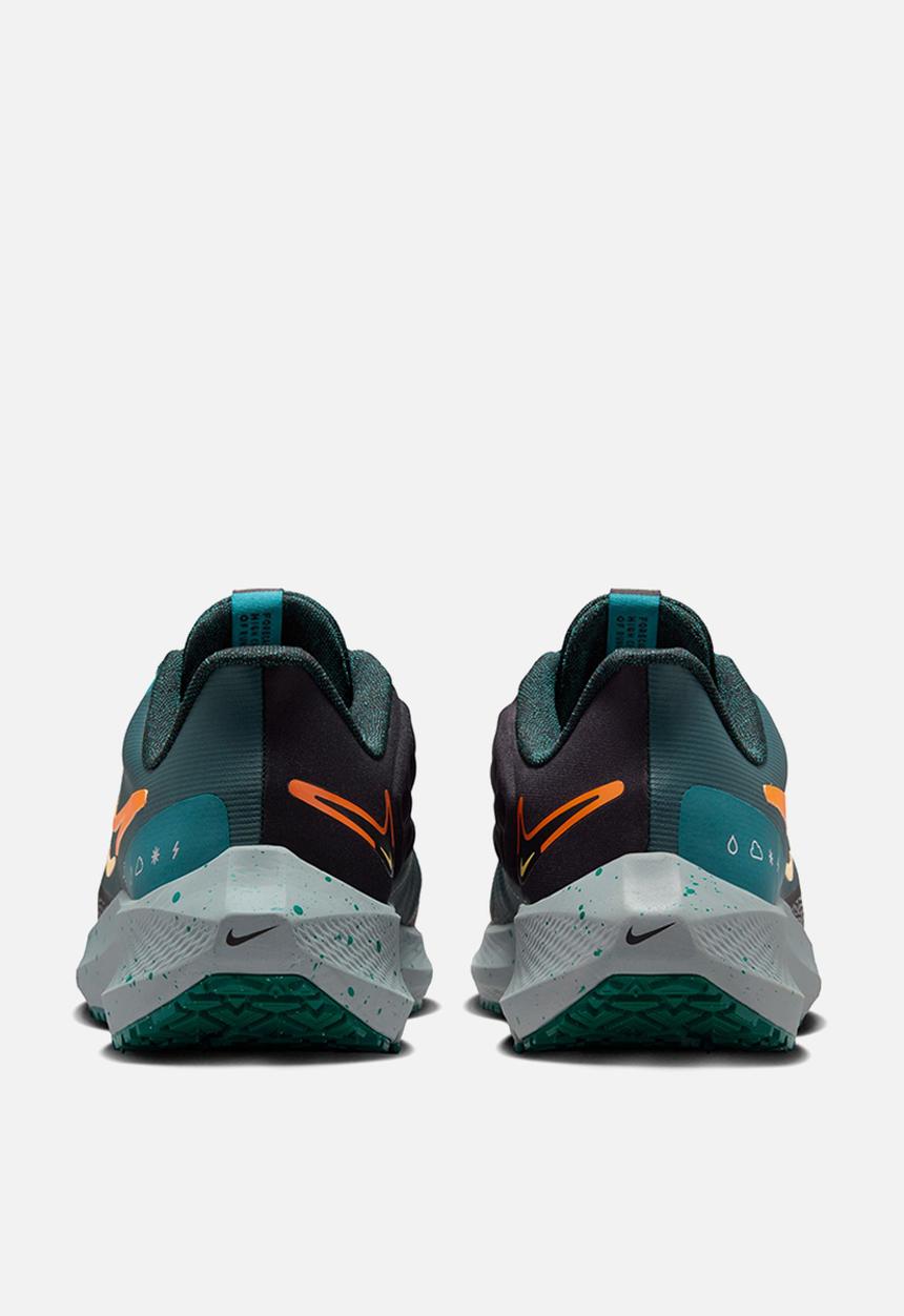 Nike - Pegasus 39 shield