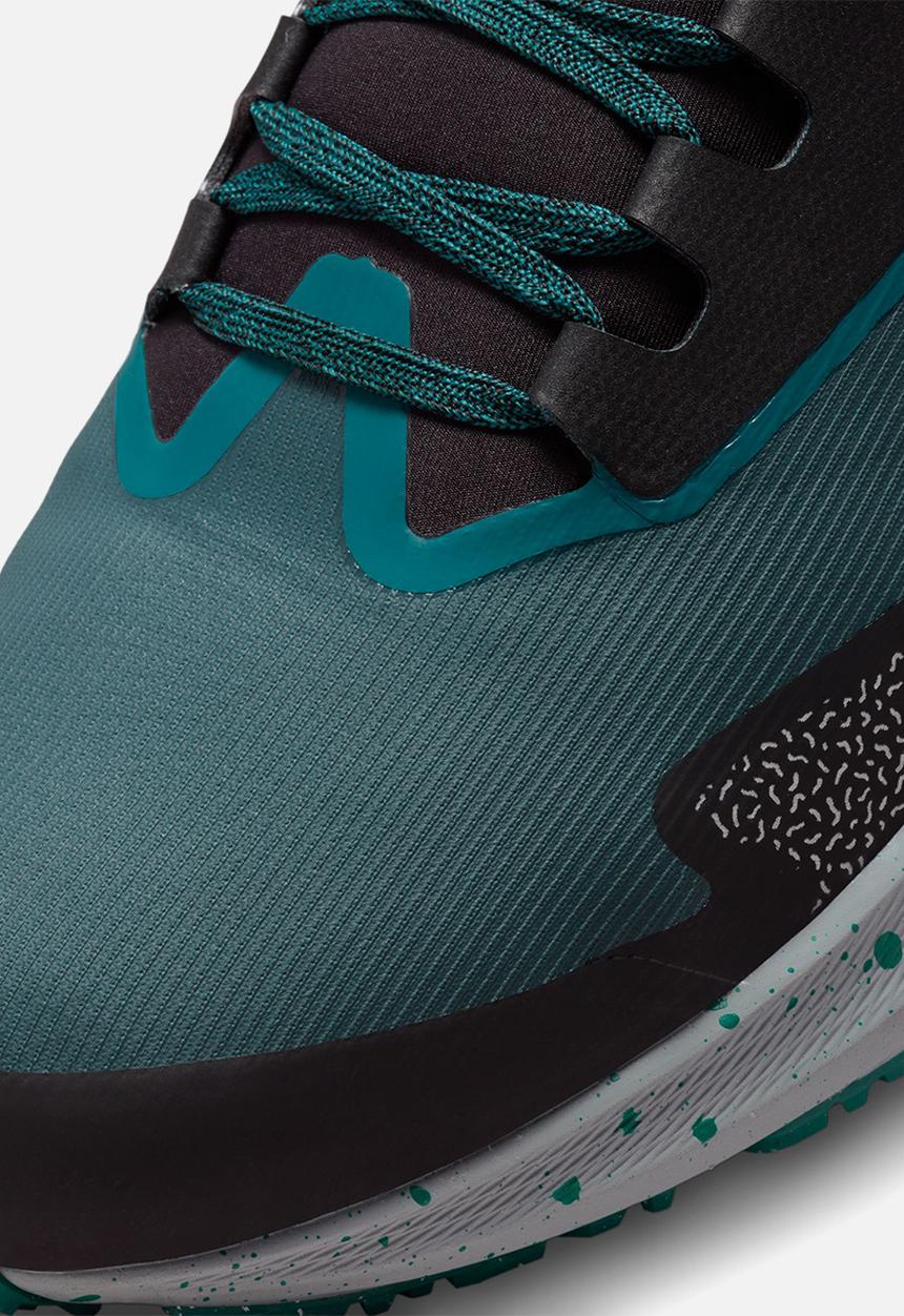 Nike - Pegasus 39 shield