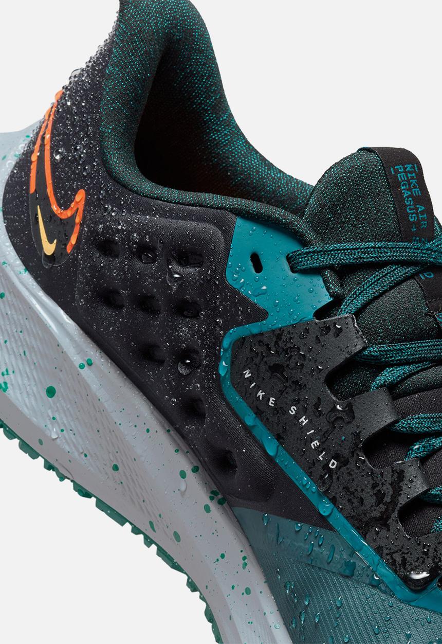 Nike - Pegasus 39 shield