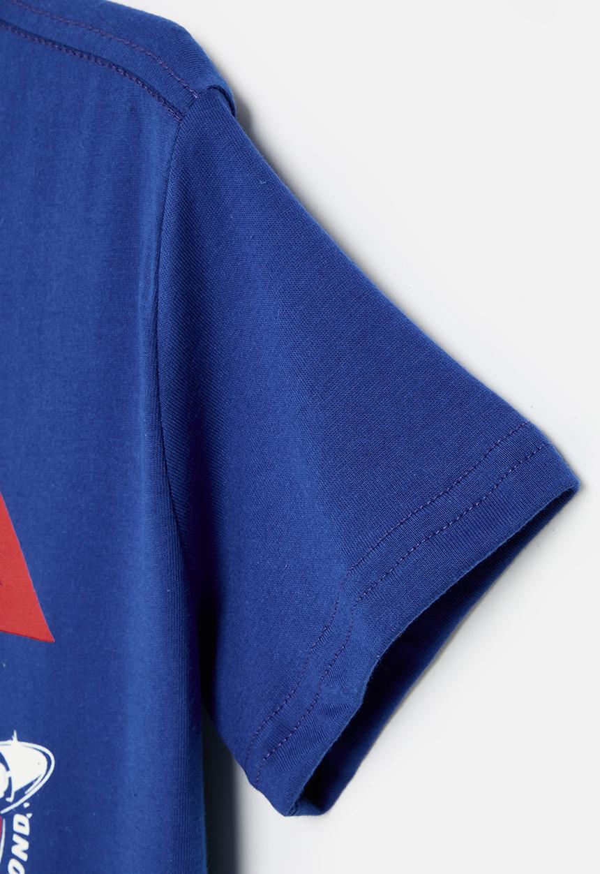 Rebel Republic - NASA t-shirt - royal