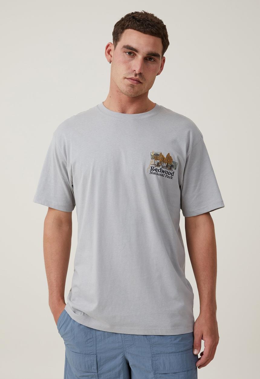 Cotton On - Loose fit art T-shirt - blue haze/redwoods