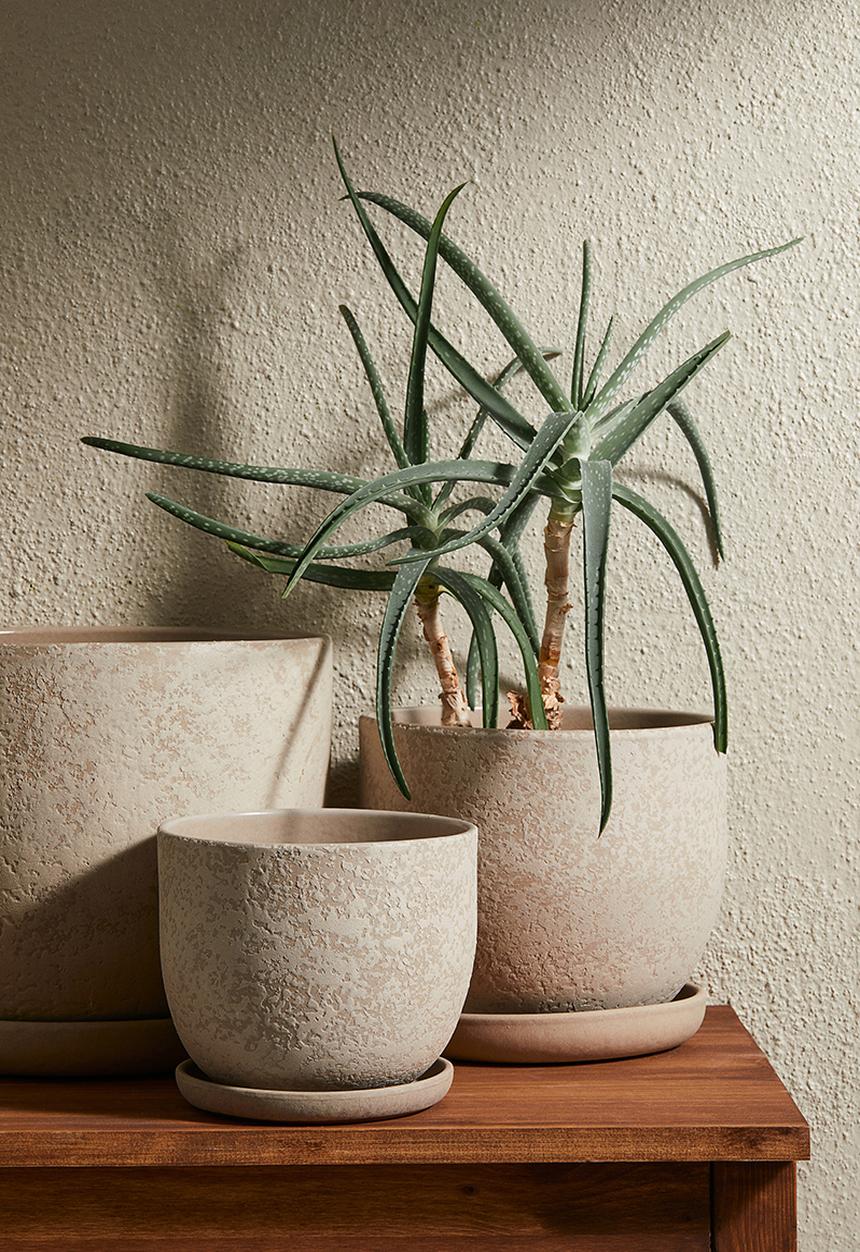 H&M - Terracotta plant pot & saucer - white