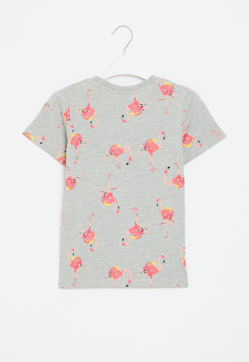 Pop Candy - Printed tee -  grey 