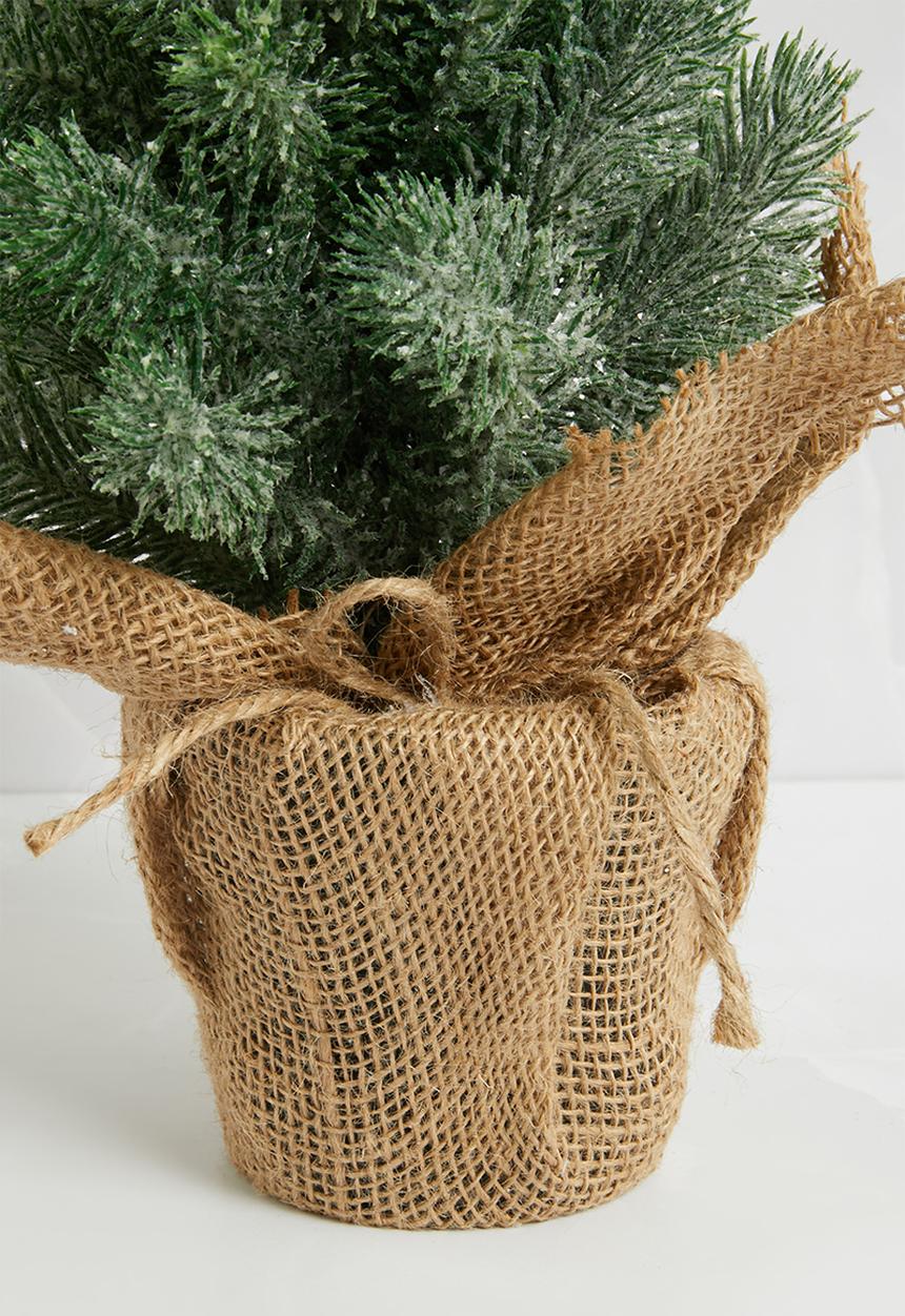 H&S - Pine tree - frosted