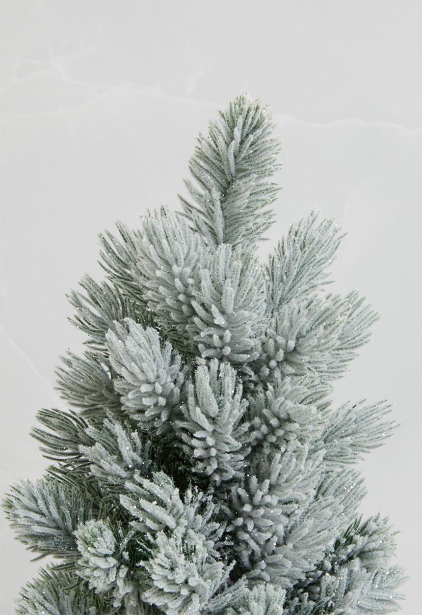 H&S - Pine tree - snowy