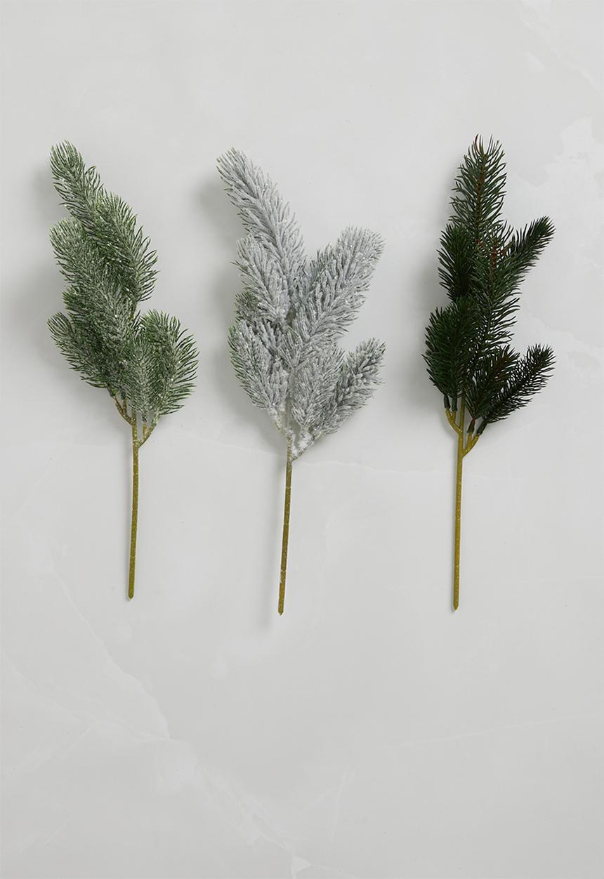 H&S - Pine brand set of 3 - green