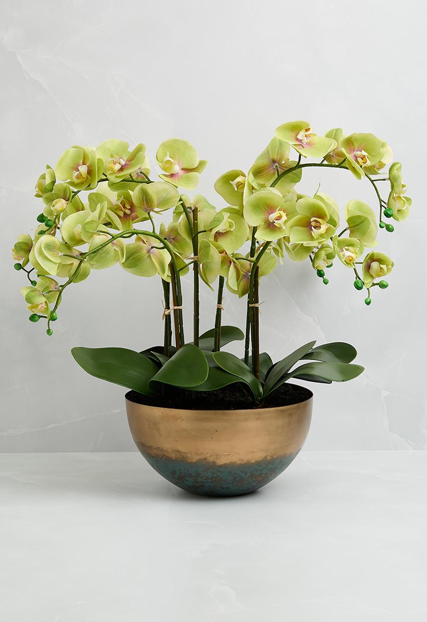Silk By Design - Phalaenopsis orchid arrangement - green