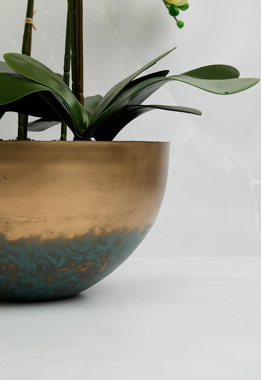 Silk By Design - Phalaenopsis orchid arrangement - green