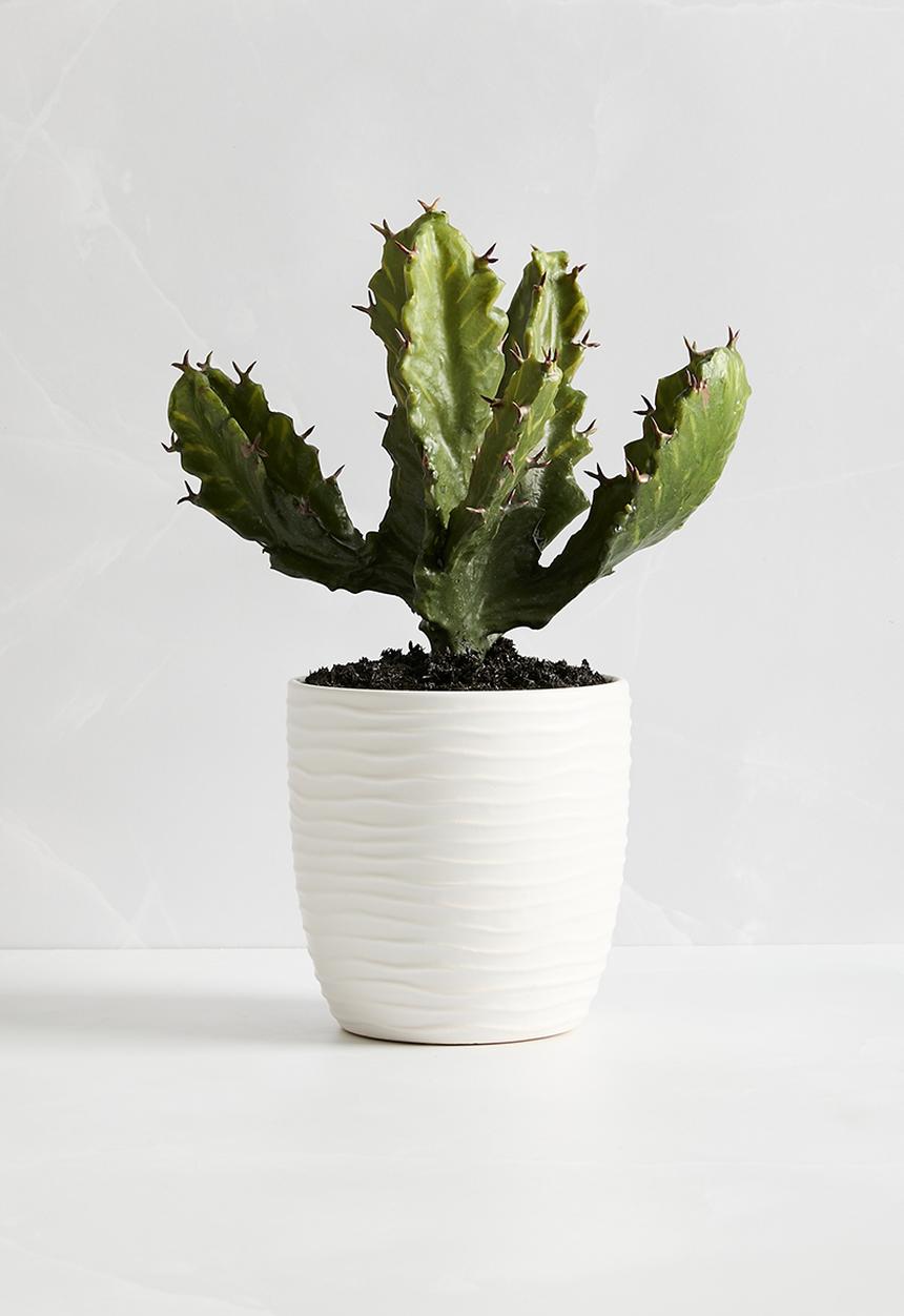 Silk By Design - Cactus in ceramic vase - white