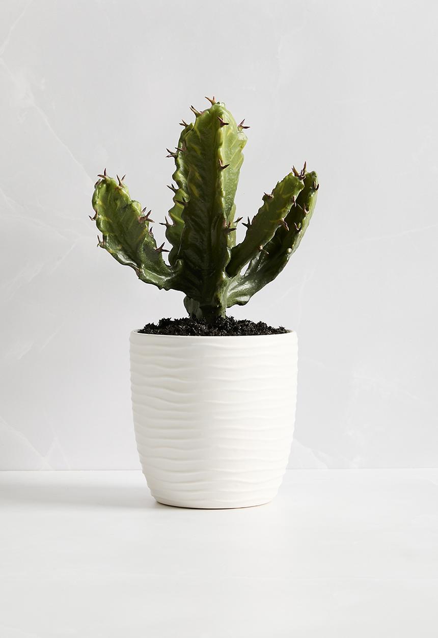 Silk By Design - Cactus in ceramic vase - white