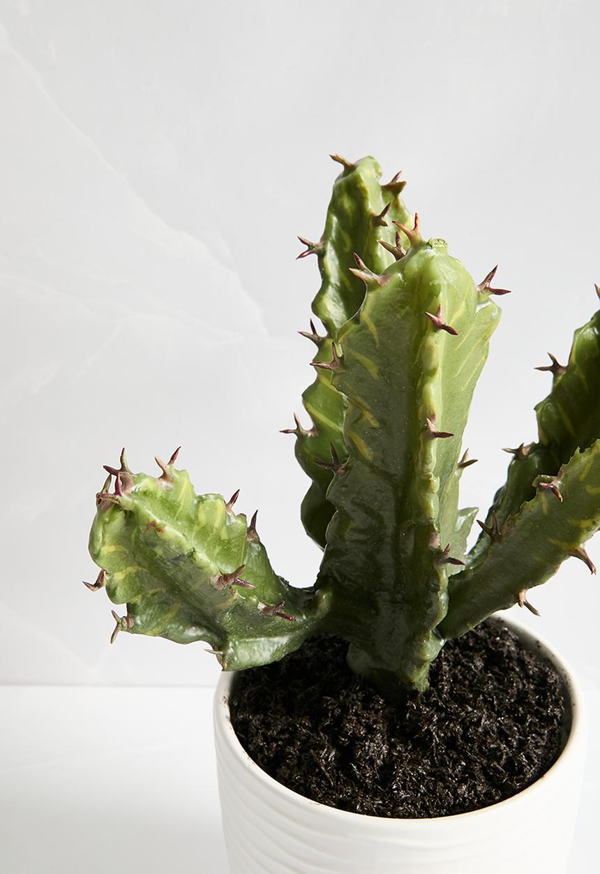 Silk By Design - Cactus in ceramic vase - white
