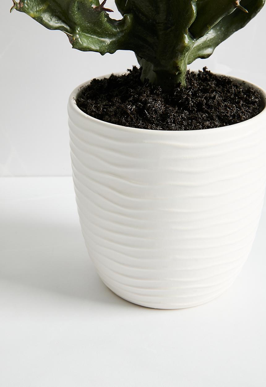 Silk By Design - Cactus in ceramic vase - white