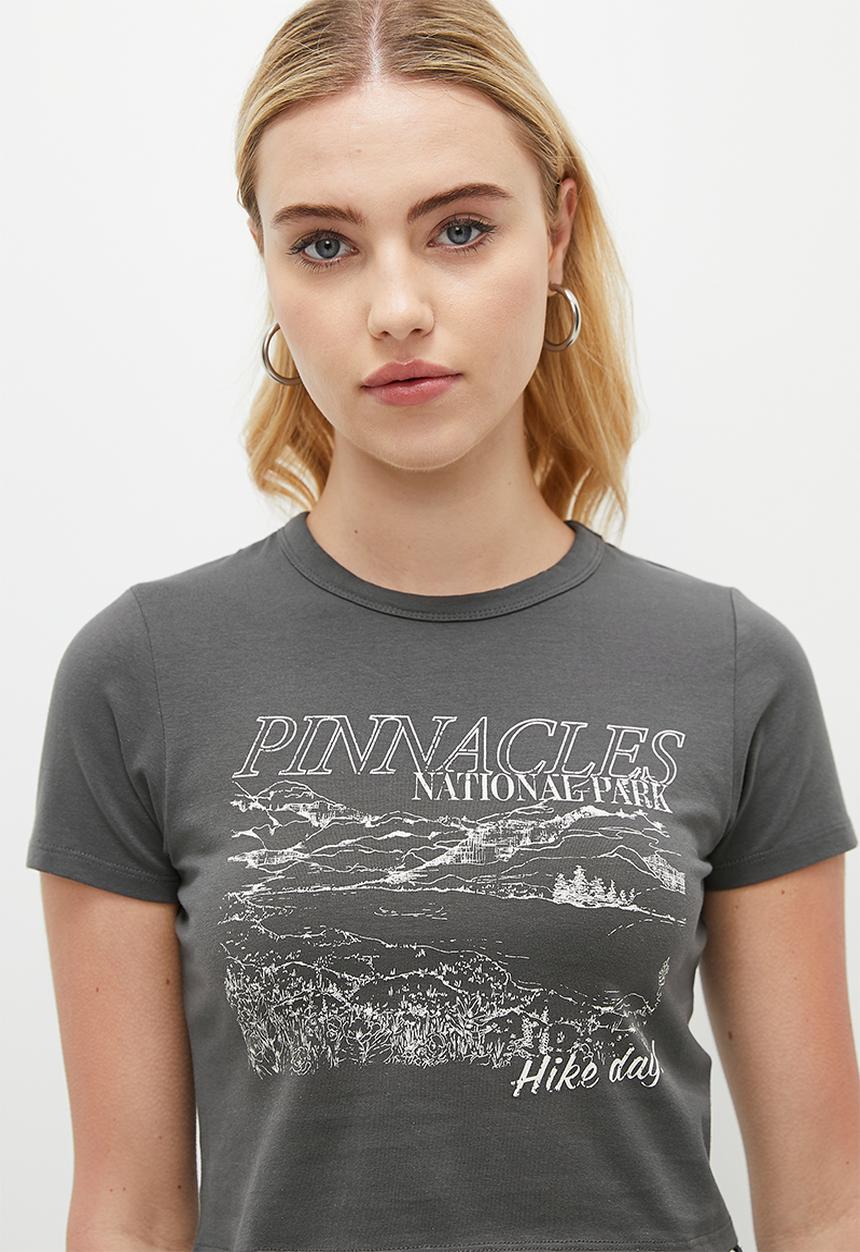 Cotton On - Micro Fit Graphic Tee - Pinnacles National Park/Graphite