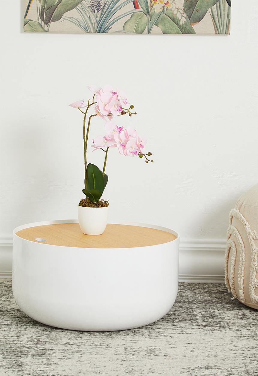 Sixth Floor - Benjamin storage coffee table - white & natural